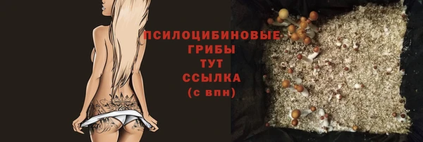бошки Белокуриха