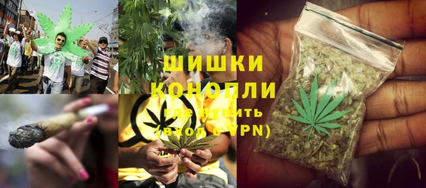 бошки Белокуриха