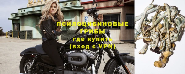 бошки Белокуриха