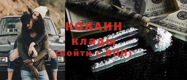 бошки Белокуриха