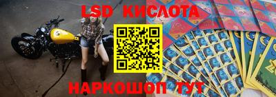 прущие грибы Краснокаменск