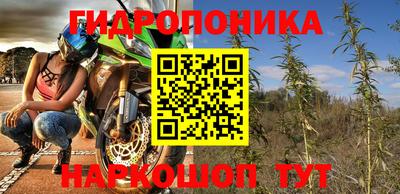 прущие грибы Краснокаменск