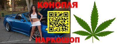 прущие грибы Краснокаменск