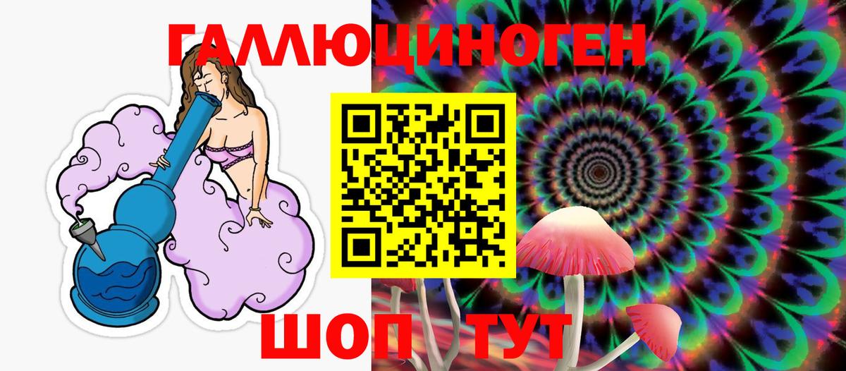 Псилоцибиновые грибы Psilocybine cubensis  Солнечногорск 