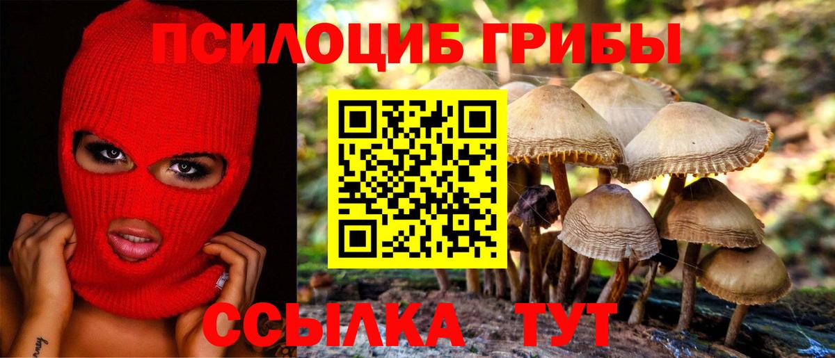 А ПВП Солнечногорск
