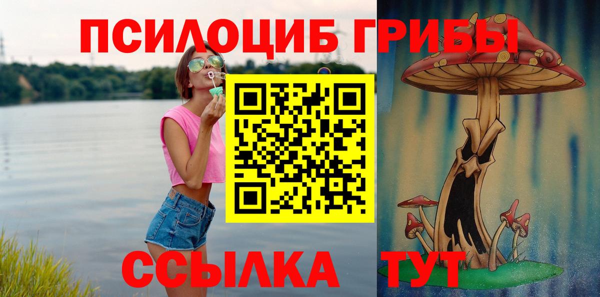 Псилоцибиновые грибы GOLDEN TEACHER Солнечногорск