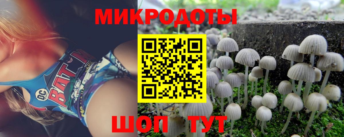 Галлюциногенные грибы прущие грибы Солнечногорск