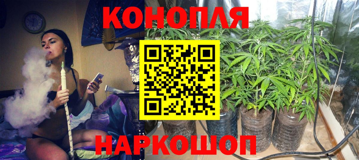 Бошки марихуана White Widow Солнечногорск